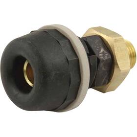 All76311 Allstar Performance Black Quick Disconnect Female End