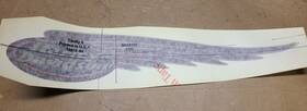 13916-99 Harley-davidson Decal New Oem