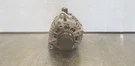 23 Ford F150 Alternator 5.0L NL3T10300TA. Fixed Price $75.00.
