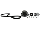 Ford Racing M-8600-M50BALT Alternator Kit 11-13 Mustang Boss 302. Fixed Price $404.66.