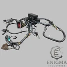 92-96 Ford F150 F250 F350 5.0 5.8 Engine Bay Gas Wire Harness F6TB-14A624. Fixed Price $350.00.