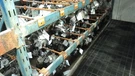 2018-2021 Lexus Ls 500 Alternator 1K Oem Lkq. Fixed Price $524.70.