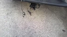 Used Alternator Fits: 2002 Chevrolet Silverado 1500 Pickup 105 Amp Grade. Fixed Price $109.90.