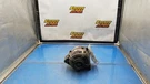 Alternator 100 Amp 4.0L Fits 94-00 Lexus SC400 Series 1323781. Fixed Price $55.00.