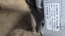Used Alternator Fits: 2007 Pontiac G6 3.5 Grade. Fixed Price $61.60.