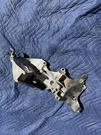 2014 Vw Passat 2.0 Tdi Alternator Mount Bracket 03L 903 143 Q Oem. Fixed Price $77.00.