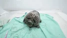 996.603.012.01 Alternator 120A 97-99 Porsche Boxster SH-7-4RM. Fixed Price $64.32.