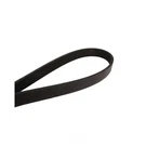 Serpentine Belt-multi-v Continental Elite 4060770. Fixed Price $52.62.