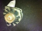 90 91 Chevy 1500 Pickup Alternator 74 Amp. Fixed Price $48.32.