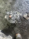 Used Alternator Fits: 2015 Land Rover Discovery Sport Grade. Fixed Price $91.20.