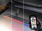 Amp Research Vision Lighted Powerstep 2021-2024 Ford F150 Truck Super Crew. Fixed Price $1999.99.