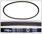 Belt A/c Shelby GT-500 428PI C7ZE-8620-E, 1967 Mustang. Fixed Price $34.95.