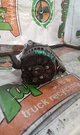 Alternator With Livery Package 200 Amp Fits 17-20 Lincoln Continental 3170691. Fixed Price $68.32.