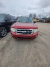 Alternator From 03/03/08 Fits Escape 1687405. Fixed Price $94.99.