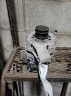 18 19 20 21 22 Ford Ecosport Alternator. Fixed Price $39.60.