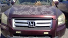 Alternator Fits 06-08 Pilot 1180193. Fixed Price $69.90.