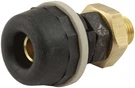 Allstar Performance ALL76311 Black Quick Disconnect Female End. Fixed Price $55.98.