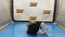 Alternator 80 Amp 3.4L 5VZFE Engine Fits 00-04 Tacoma 1298481. Fixed Price $50.00.